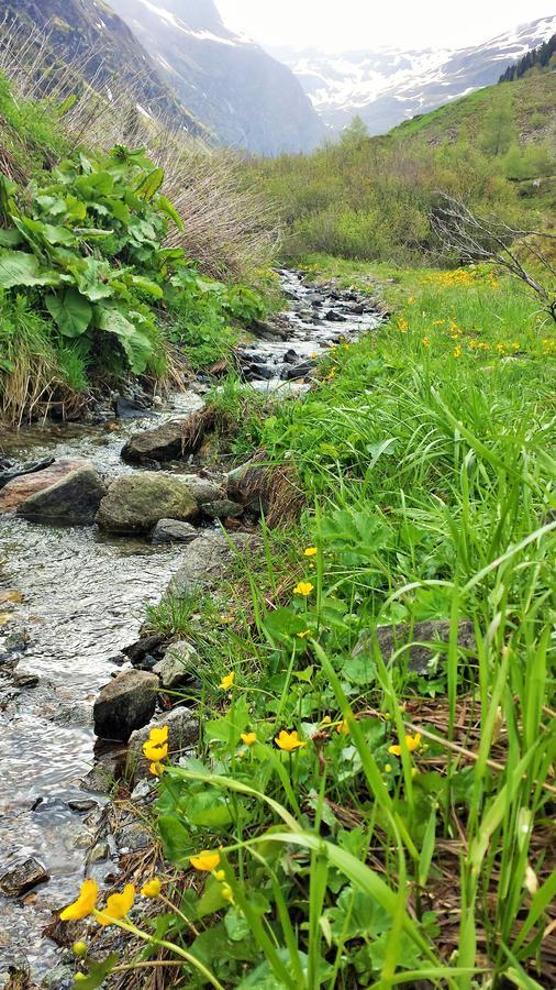 Fruehstueckpension Larson Bad Hofgastein Bagian luar foto